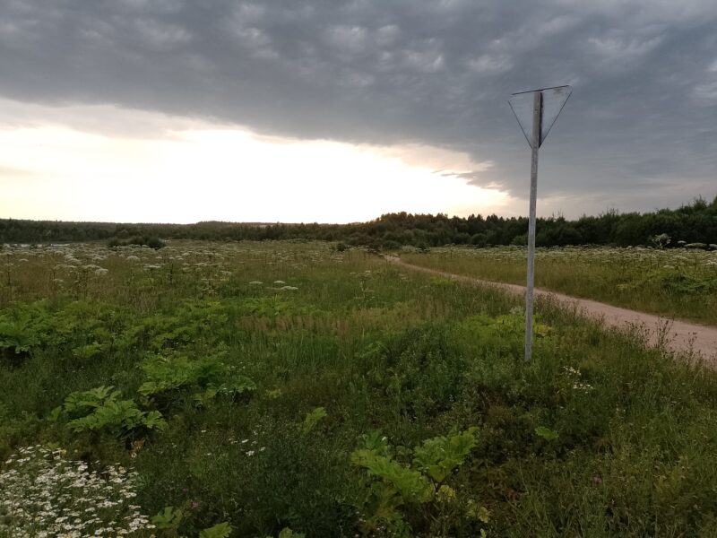 Автодорога (лыжероллеры) Н Горбово — Лызлово, состояние на 12 июля 2025 по отзыву, фото 2. 